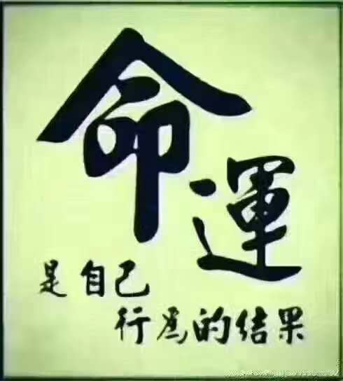 图片_20250414005538命运是