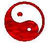 20090308093926动态小太极
