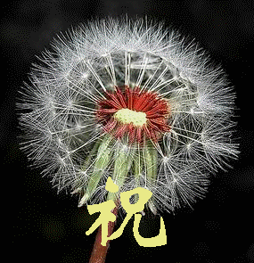 2009030902139祝您快乐