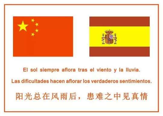 图片_中西见真情20250310205324