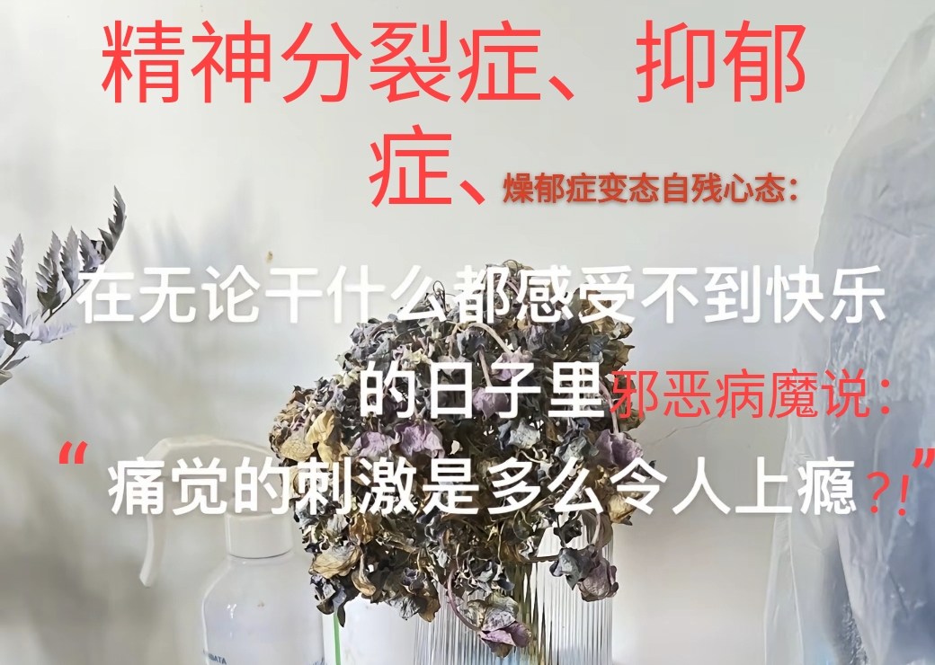 图片_20250406150617邪恶抑郁自残
