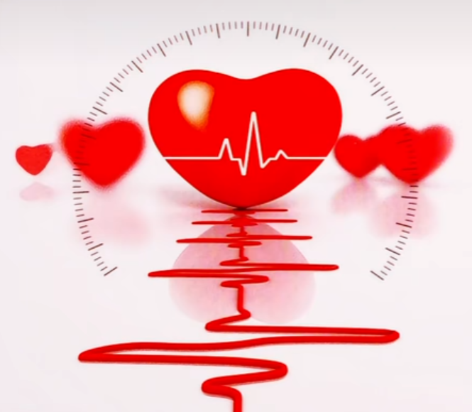 Screenshot_2025_1102_172434